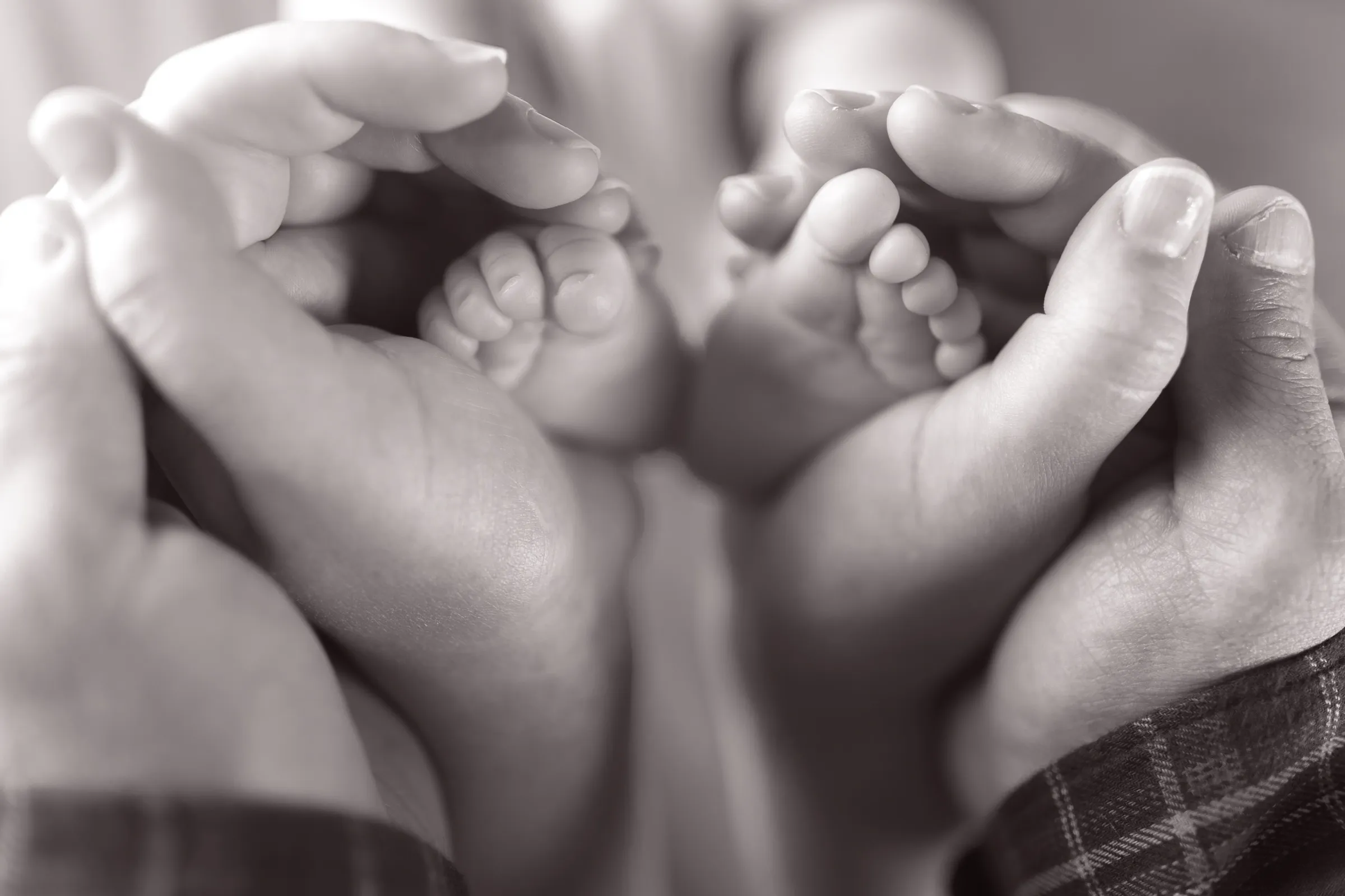 Families & Newborns photograph 6 by CBsnaps