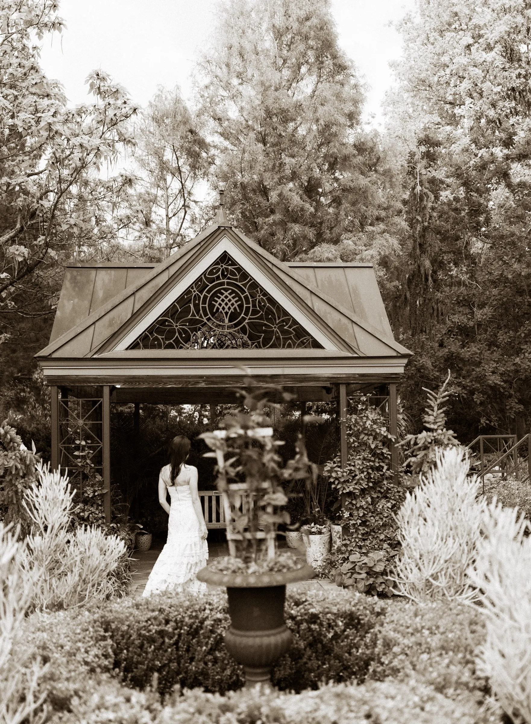 Weddings & Elopements photograph 41 by CBsnaps